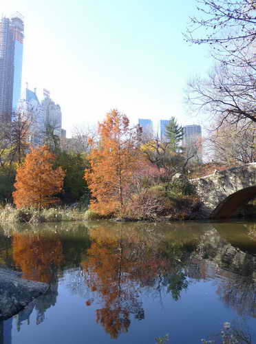 NYC_2012-11-22 13-22-38_P1070539